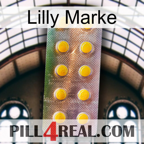 Lilly Brand new11